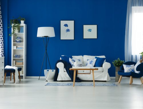 Blue wall in spacious living room with white wooden floor